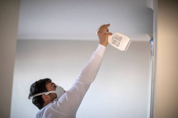 Best Crawl Space Mold Removal  in Mcelhattan, PA