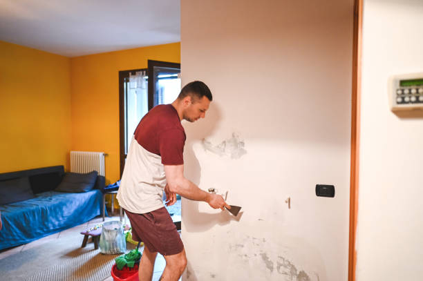 Best Office Mold Removal Services  in Mcelhattan, PA